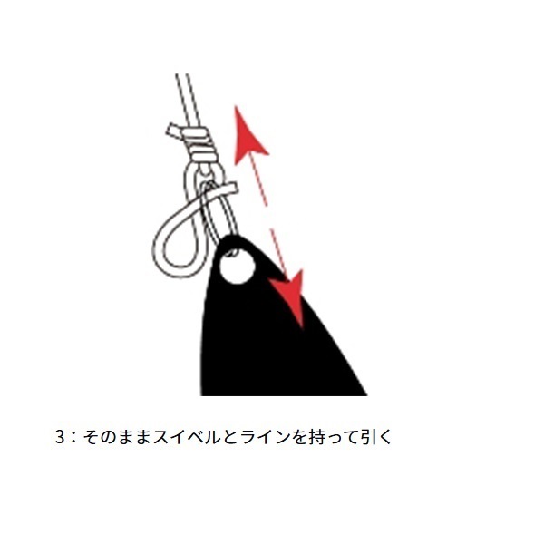 月下美人 エイトスナップ